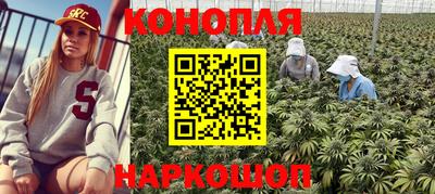 индика Сибай