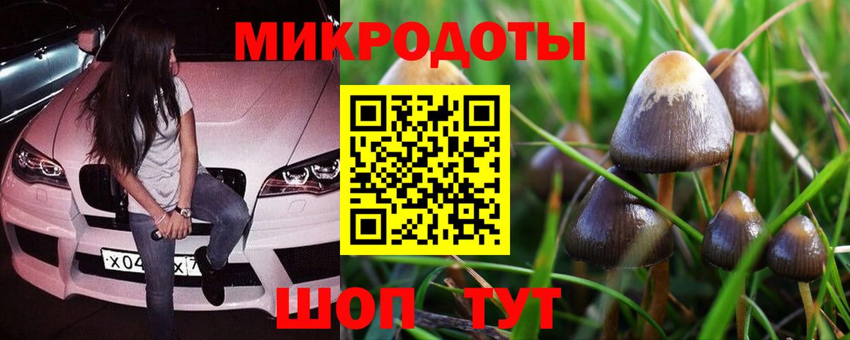 Калининград  Псилоцибиновые грибы Cubensis  Галлюциногенные грибы MAGIC MUSHROOMS  Вход с VPN 